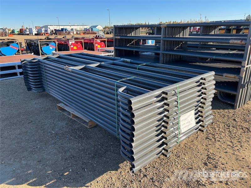 Quantity of (12) BYT HDALYPNL12 12 ft Alley Lives Оборудование для животноводческих ферм