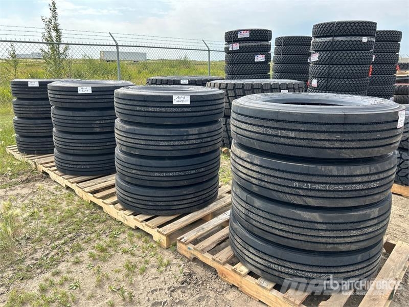  Quantity of (16) Boto 255/70R22.5 Drive Tires (Unu Llantas
