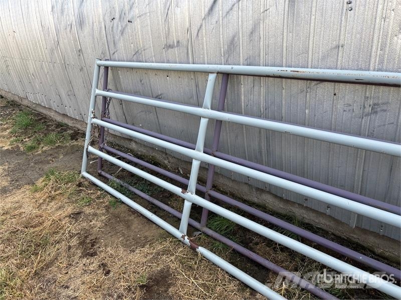  Quantity of (2) 16 ft x 4 ft Livestock Gate ماكينات وملحقات مواش أخرى