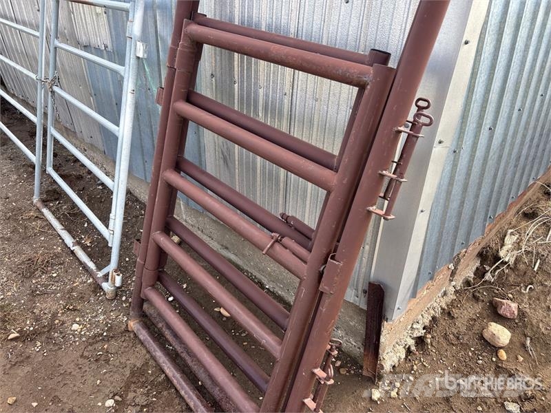  Quantity of (2) 4 ft Livestock Man Gate ماكينات وملحقات مواش أخرى