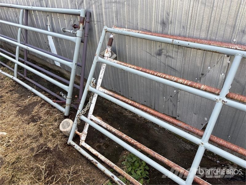  Quantity of (2) Livestock Gate ماكينات وملحقات مواش أخرى