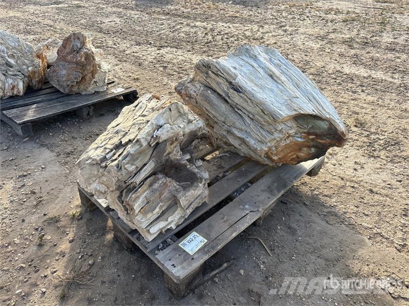 Quantity of (2) Petrified Stumps مكونات أخرى