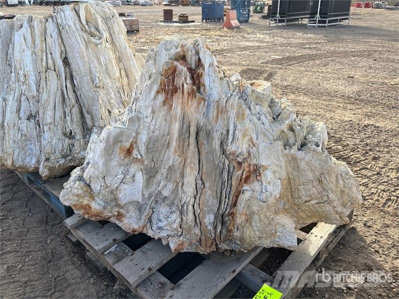  Quantity of (2) Petrified Stumps مكونات أخرى