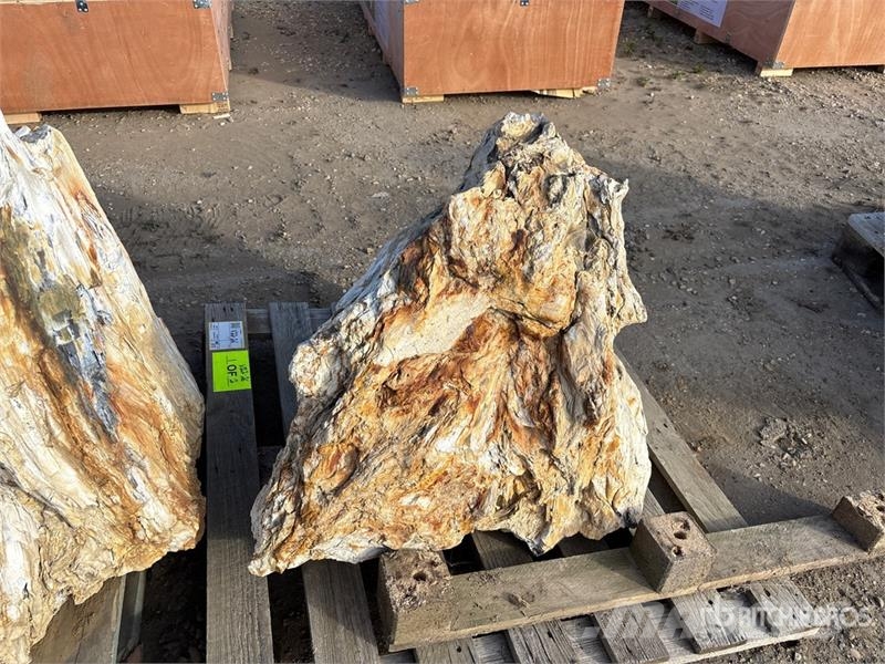 Quantity of (2) Petrified Stumps Andre komponenter