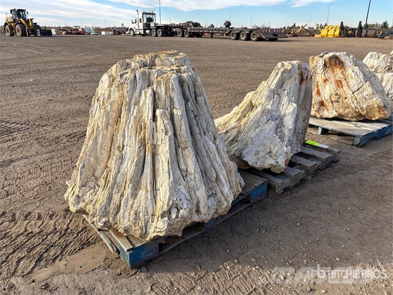  Quantity of (2) Petrified Stumps مكونات أخرى