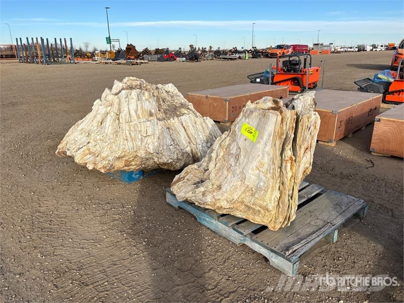  Quantity of (2) Petrified Stumps مكونات أخرى