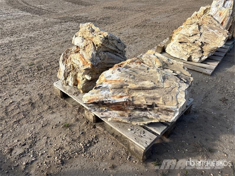  Quantity of (2) Petrified Stumps مكونات أخرى