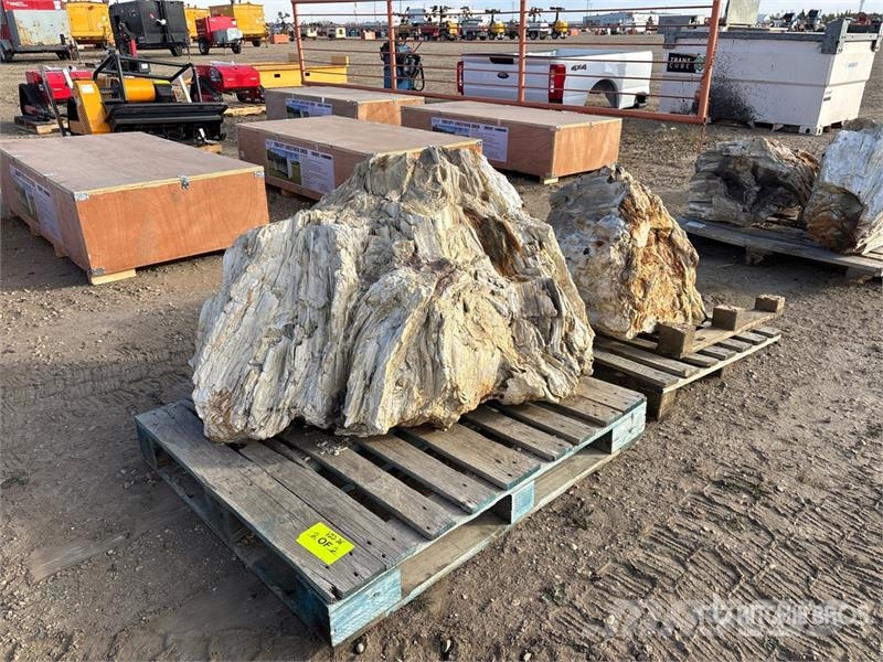 Quantity of (2) Petrified Stumps Andre komponenter