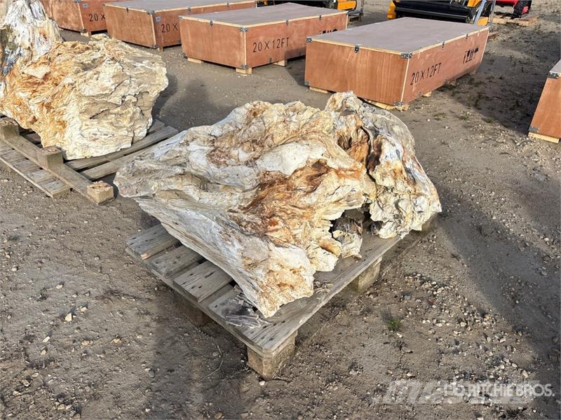  Quantity of (2) Petrified Stumps مكونات أخرى