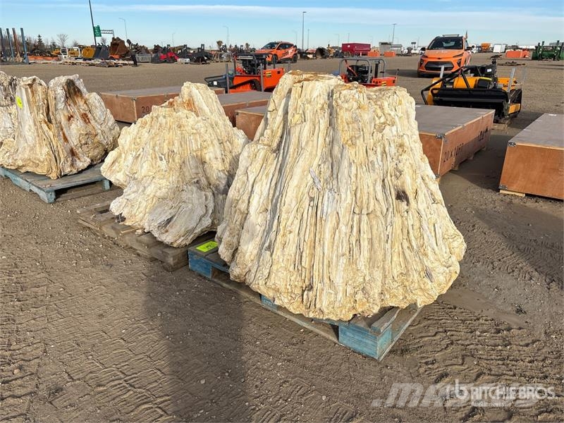  Quantity of (2) Petrified Stumps مكونات أخرى