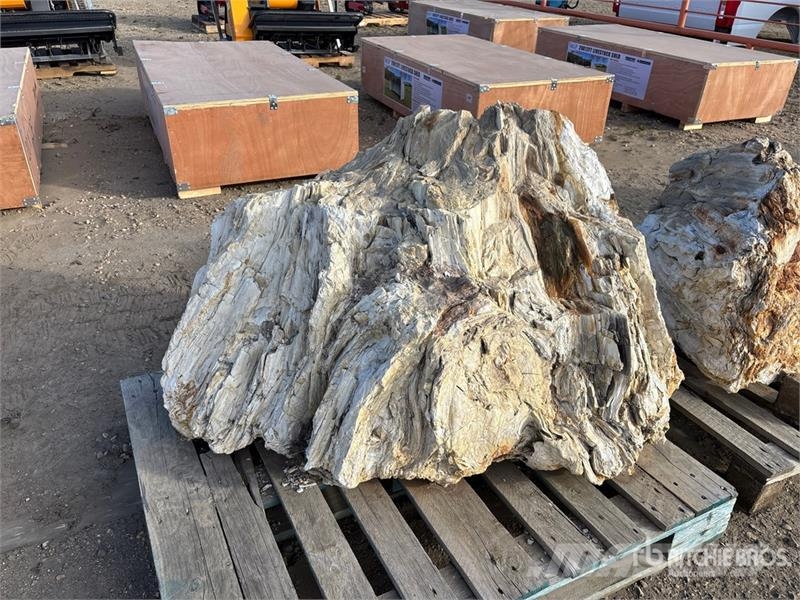 Quantity of (2) Petrified Stumps Andre komponenter