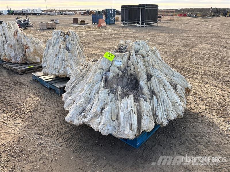  Quantity of (2) Petrified Stumps مكونات أخرى