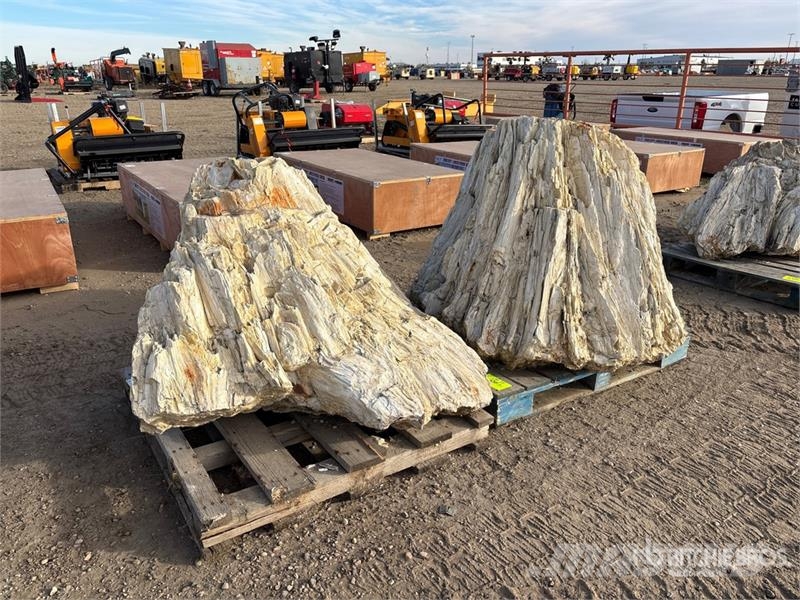  Quantity of (2) Petrified Stumps مكونات أخرى