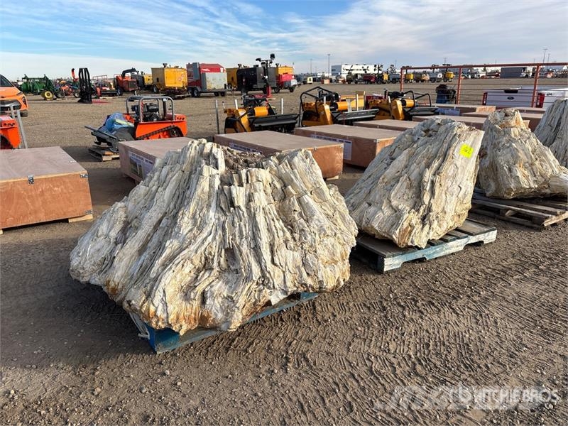  Quantity of (2) Petrified Stumps مكونات أخرى