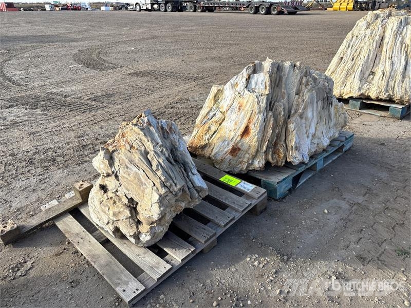 Quantity of (2) Petrified Stumps Andre komponenter
