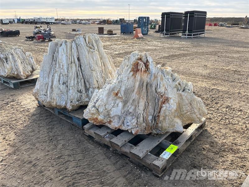  Quantity of (2) Petrified Stumps مكونات أخرى