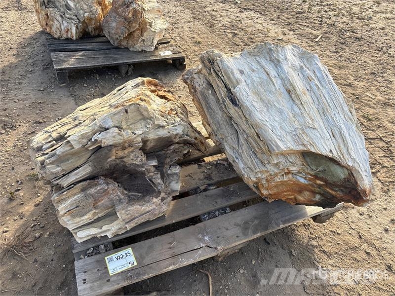  Quantity of (2) Petrified Stumps مكونات أخرى