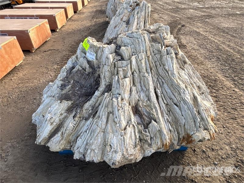  Quantity of (2) Petrified Stumps مكونات أخرى