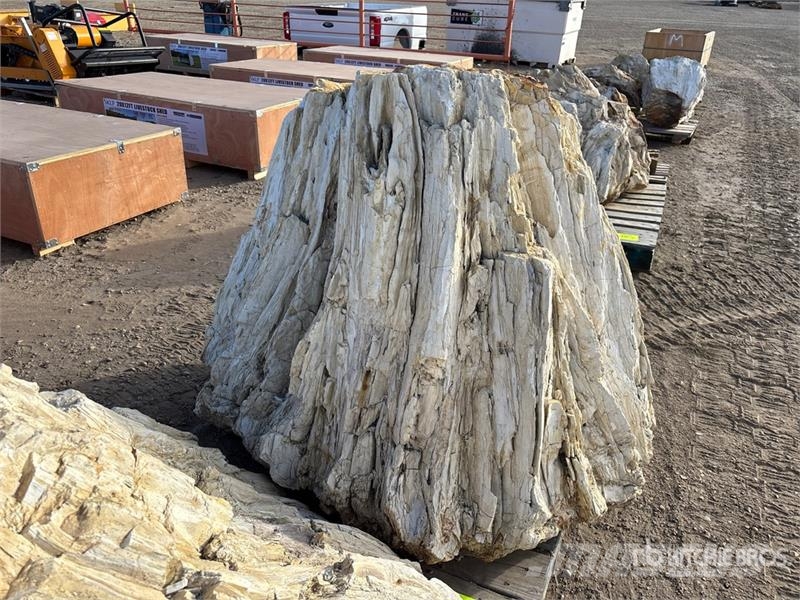  Quantity of (2) Petrified Stumps مكونات أخرى