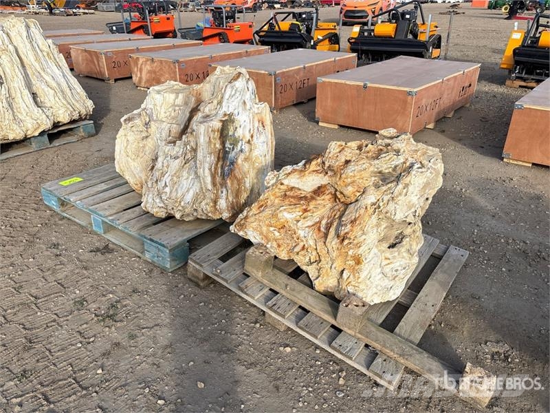Quantity of (2) Petrified Stumps Andre komponenter