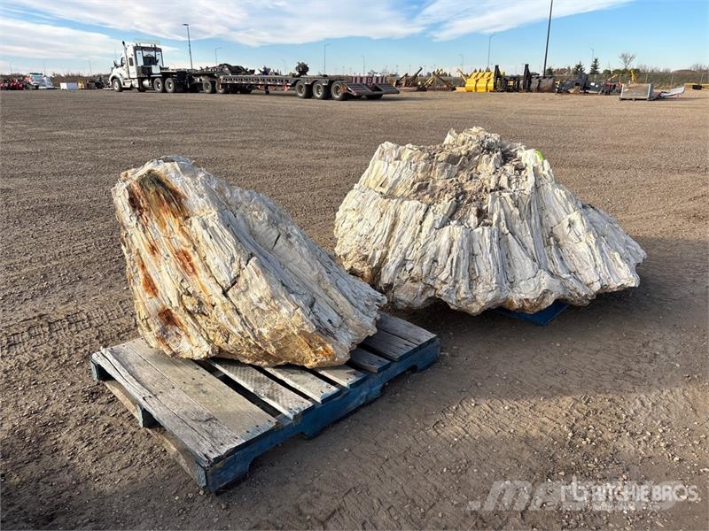  Quantity of (2) Petrified Stumps مكونات أخرى