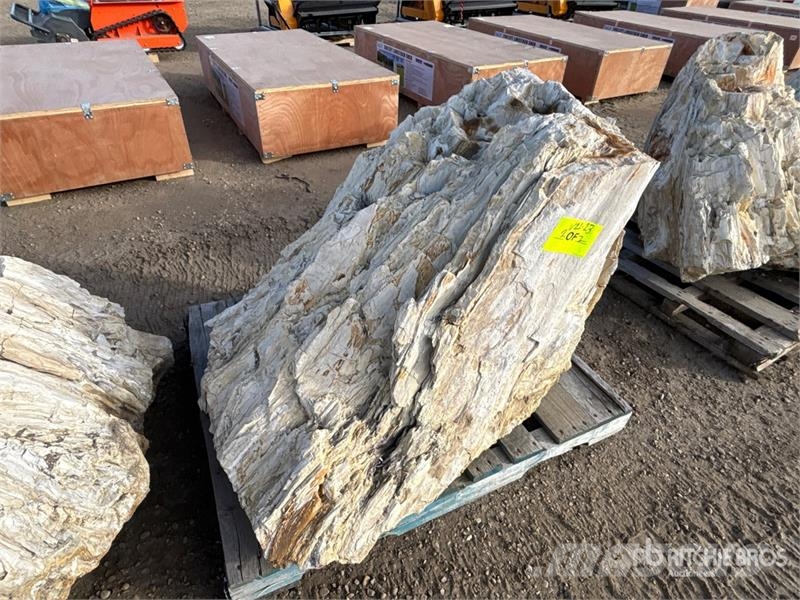  Quantity of (2) Petrified Stumps مكونات أخرى