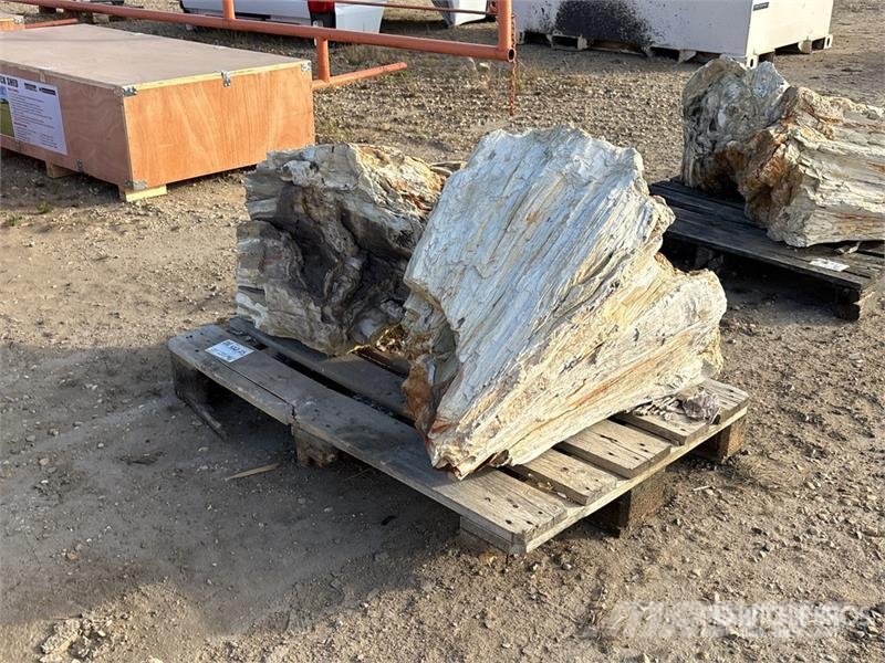  Quantity of (2) Petrified Stumps مكونات أخرى
