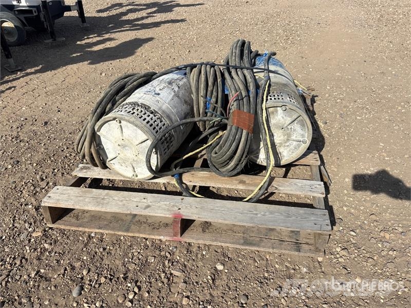 Quantity of (2) Submersible Water Pump Andre komponenter