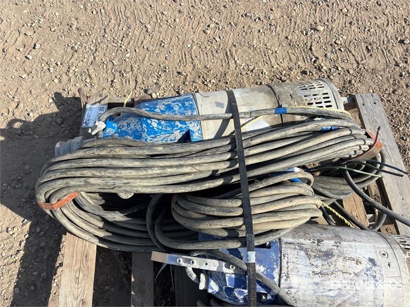 Quantity of (2) Submersible Water Pump Andre komponenter