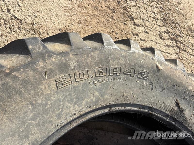 Quantity of (2) Tractor Tires Renkaat ja vanteet