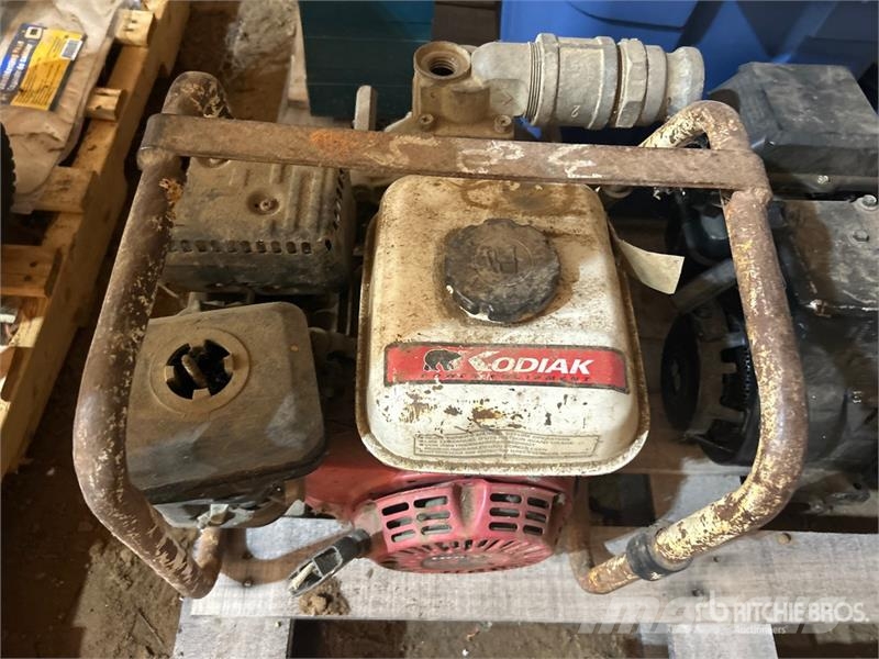 Quantity of (2) Water Pumps Bombas de agua