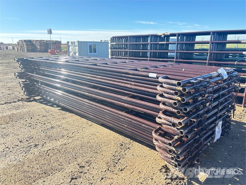 Quantity of (20) BYT MRSDRP16 16 ft 7 Rail Ranch Інше тваринницьке обладнання