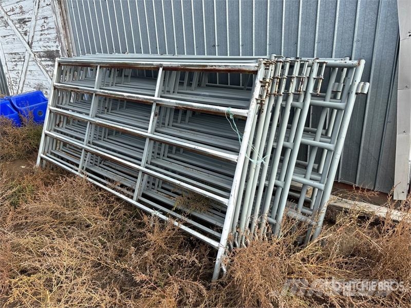 Quantity of (21) 10 ft Livestock Panel Andre staldmaskiner