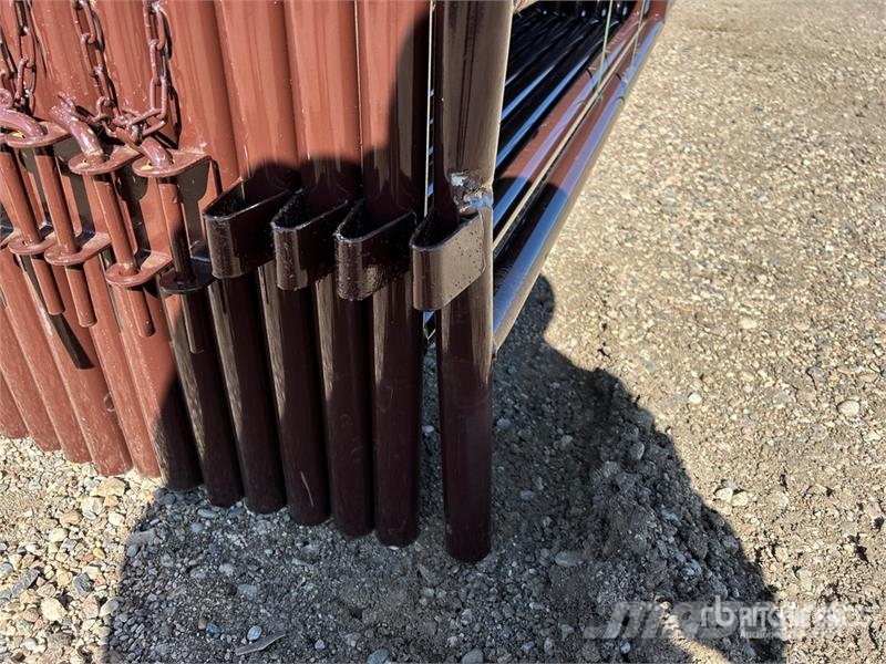 Quantity of (21) BYT HDALYPNL16 x 5 ft 10 in Live Інше тваринницьке обладнання