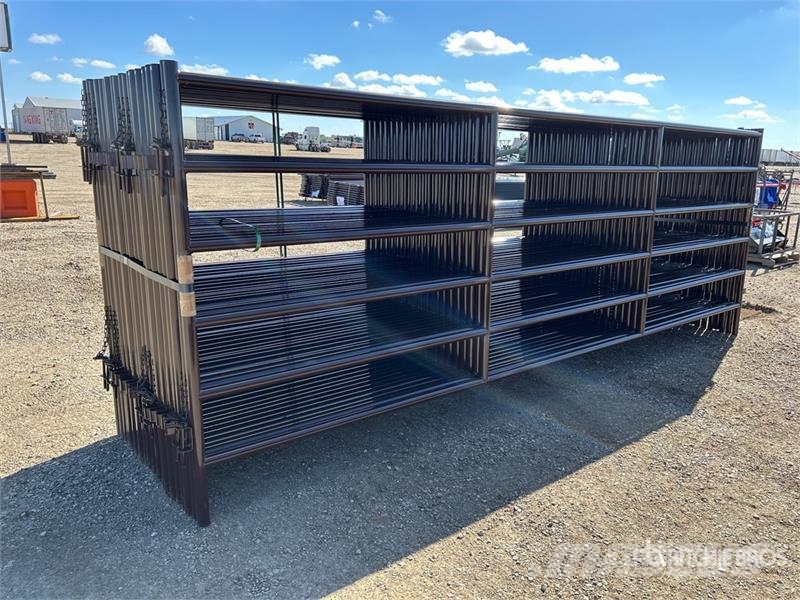 Quantity of (21) BYT HDALYPNL16 x 5 ft 10 in Live Інше тваринницьке обладнання