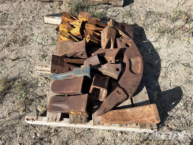 Quantity of (24) of Assorted Excavator Bucket Tee Andre komponenter