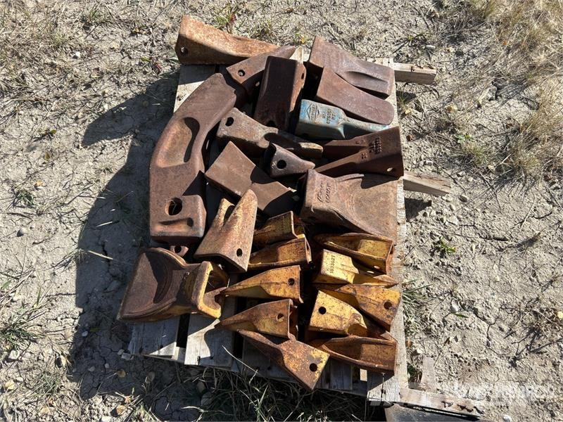 Quantity of (24) of Assorted Excavator Bucket Tee Andre komponenter