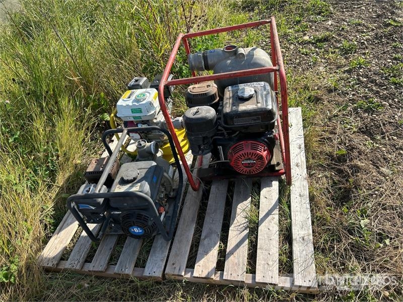 Quantity of (3) Centrifugal Pump Procesapparatuur en machines