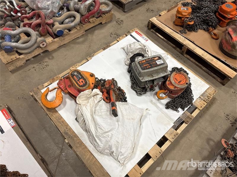 Quantity of (3) Miscellaneous Chain Hoists مكونات أخرى