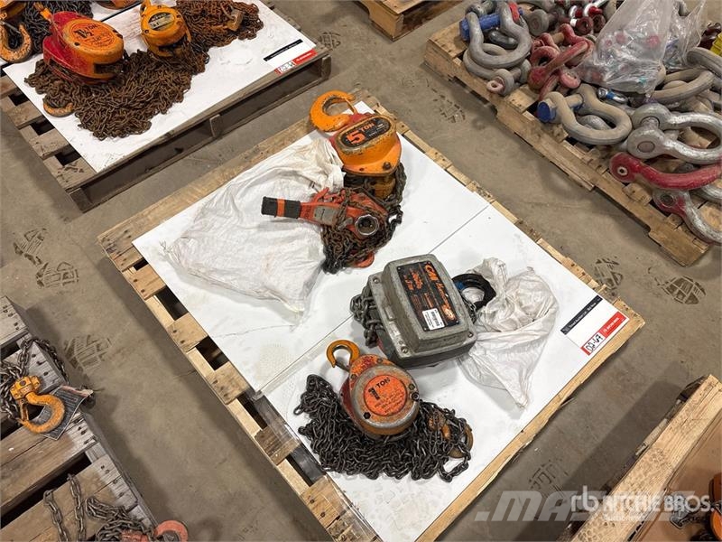 Quantity of (3) Miscellaneous Chain Hoists مكونات أخرى