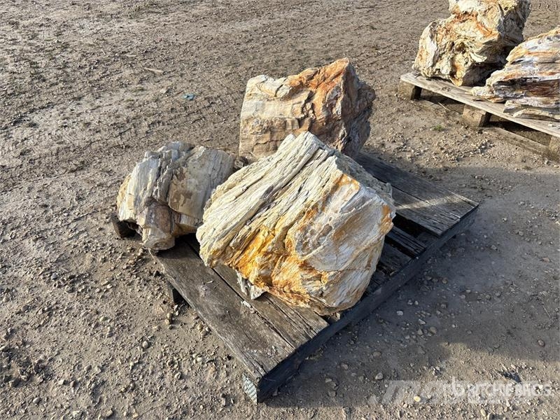  Quantity of (3) Petrified Stumps مكونات أخرى