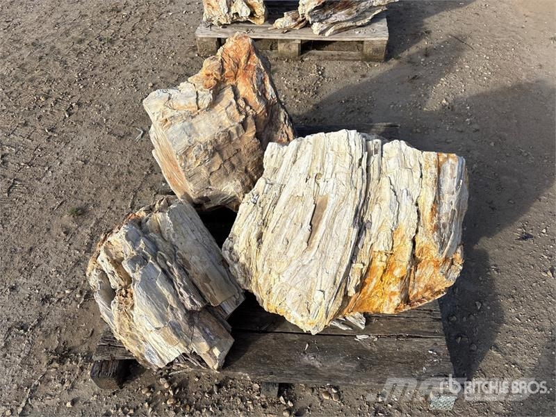  Quantity of (3) Petrified Stumps مكونات أخرى