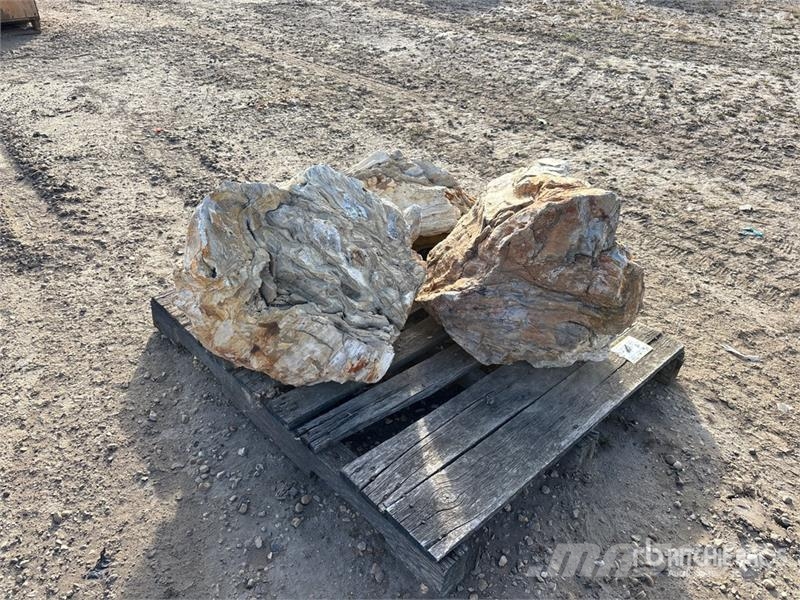 Quantity of (3) Petrified Stumps مكونات أخرى