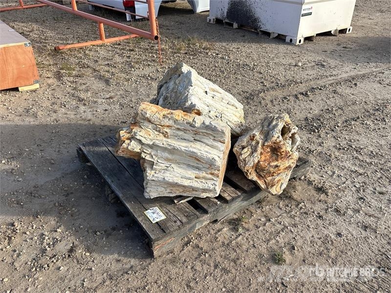  Quantity of (3) Petrified Stumps مكونات أخرى