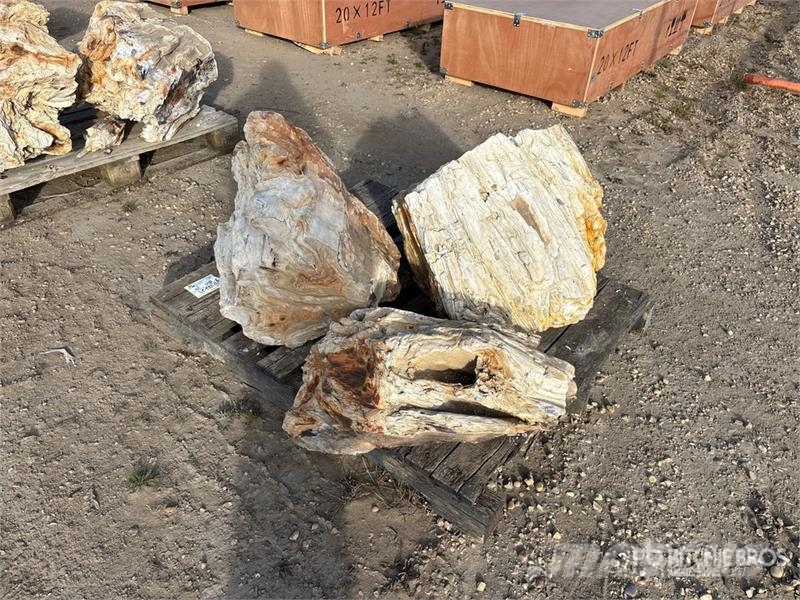  Quantity of (3) Petrified Stumps مكونات أخرى