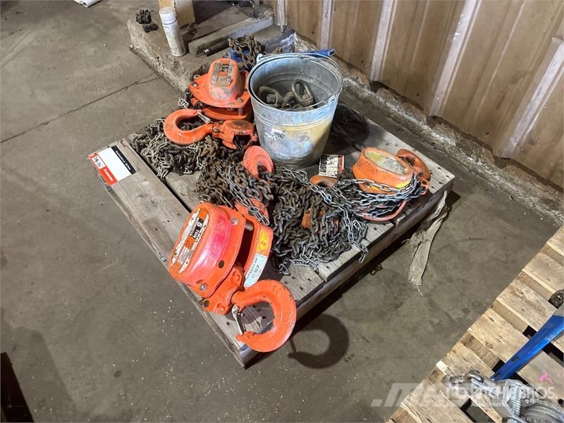 Quantity of (4) Chain Hoists Rigging Запчасти для кранов