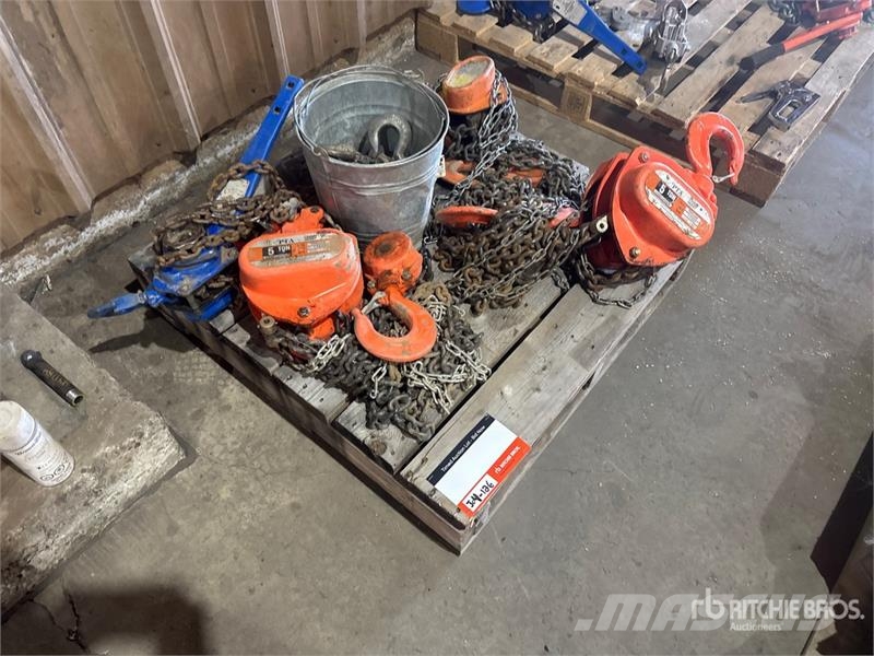 Quantity of (4) Chain Hoists Rigging Запчасти для кранов