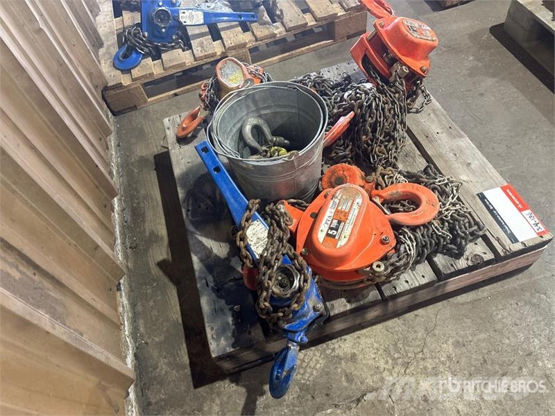 Quantity of (4) Chain Hoists Rigging Запчасти для кранов