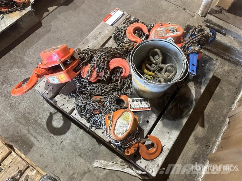 Quantity of (4) Chain Hoists Rigging Запчасти для кранов