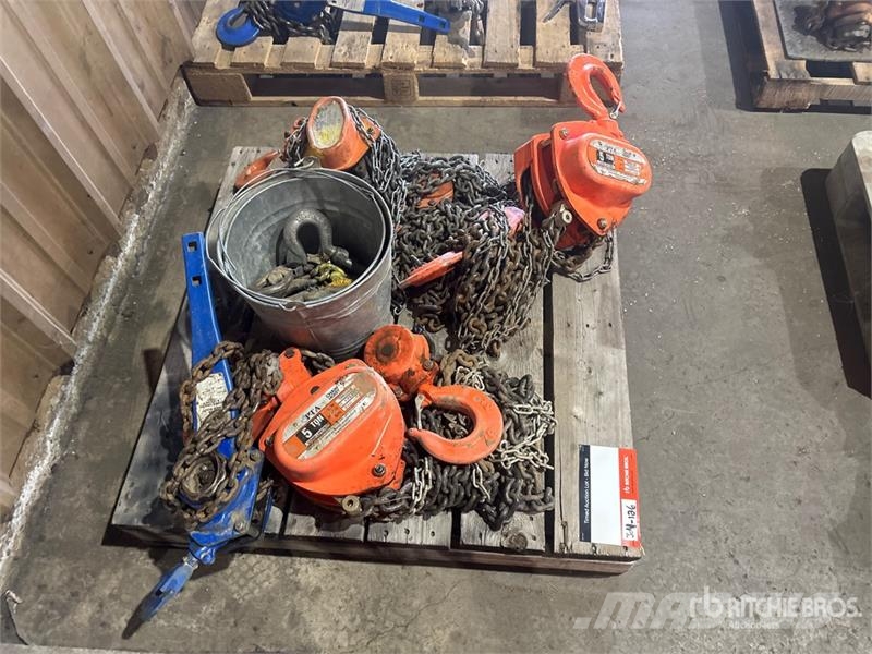 Quantity of (4) Chain Hoists Rigging Запчасти для кранов